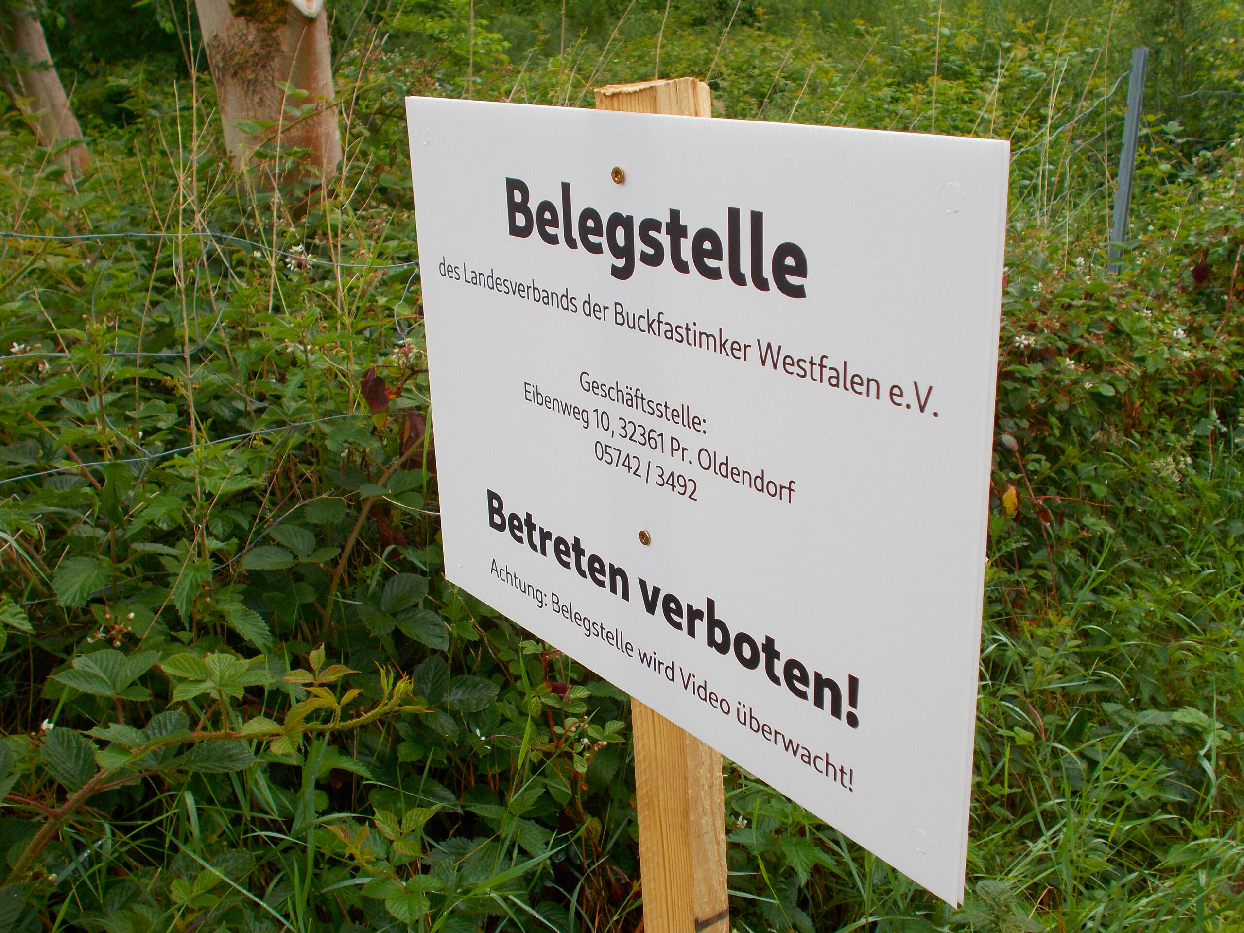 Anmeldung zur Belegstelle